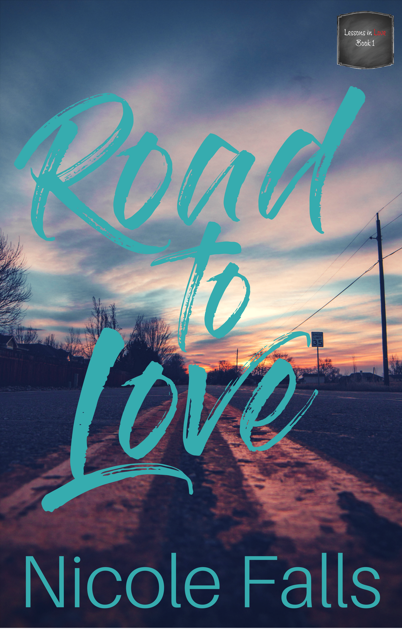 Road to Love paperback